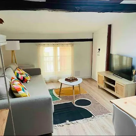 Le Grand Appartement Castres (Tarn)