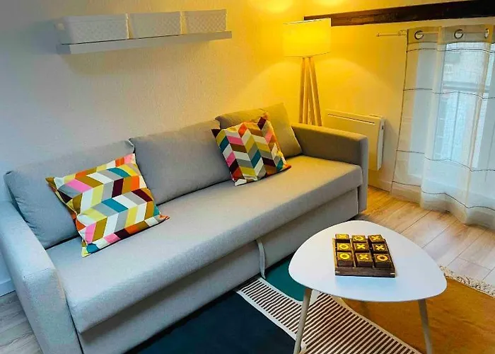 Appartement Le Grand Castres (Tarn)