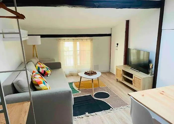 Le Grand Appartement Castres (Tarn)