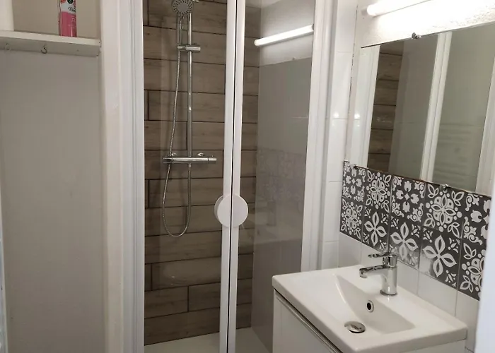 Le Grand Appartement Castres (Tarn)